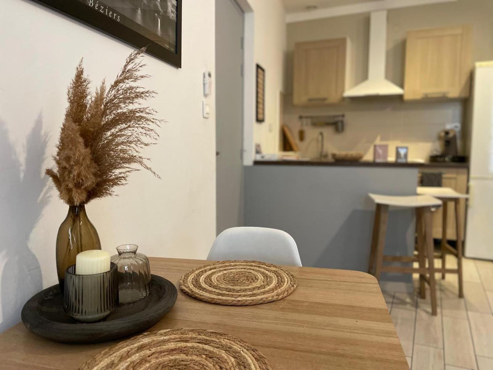 Joli Appartement Hypercentre T2, Classe Meuble De Tourisme 3 Avec Parking Gratuit Beziers Ngoại thất bức ảnh